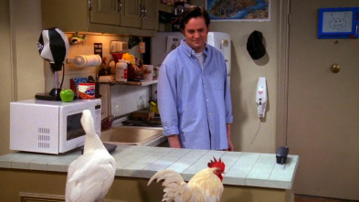 Friends, Season 6 (T6): Ep.20 El de Mac y C.H.E.S.S.E.