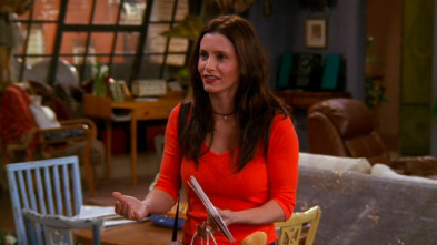 Friends, Season 6 (T6): Ep.22 En el que Paul es el figura