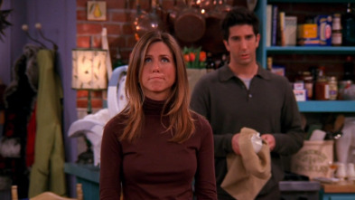 Friends, Season 9 (T9): Ep.8 El de la otra hermana de Rachel