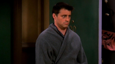 Friends, Season 9 (T9): Ep.20 El de la fiesta de la serie