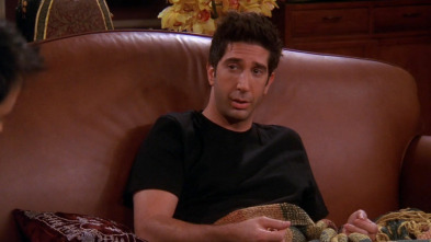 Friends, Season 10 (T10): Ep.2 En el que Ross está bien