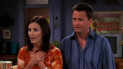 Friends, Season 10 (T10): Ep.7 El del estudio de la casa