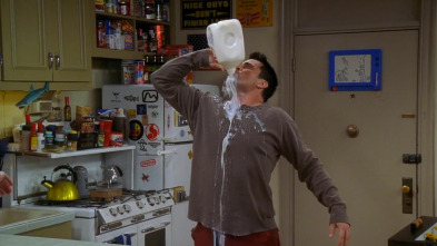 Friends, Season 10 (T10): Ep.13 El de cuando Joey habla francés