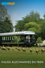 Viajes alucinantes en tren 