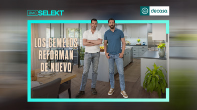 Los gemelos reforman de nuevo (T1)