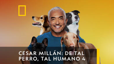 César Millán: De tal perro, tal humano 