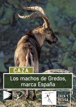 Los machos de Gredos: marca España