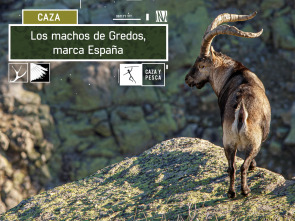 Los machos de Gredos: marca España