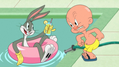 Looney Tunes... (T1): Dolor sobre hielo / Visión de túnel / Compañero de piscina