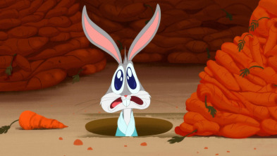 Looney Tunes... (T2): El conejo rechoncho / Cine de lavado