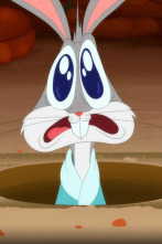 Looney Tunes... (T2): El conejo rechoncho / Cine de lavado