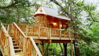 Mi casa en un árbol,...: Un rincón mágico para celebrar fiestas