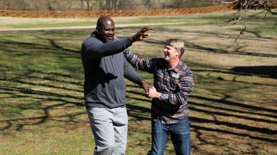 Mi casa en un árbol,...: Shaquille O'Neal en los árboles