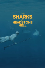 Los tiburones de Headstone Hell