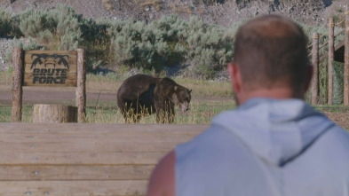 Man Vs Bear: Enfrentamiento final sobrehumano