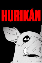 Hurikán