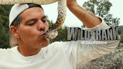 Wild Frank en California, Season 1 