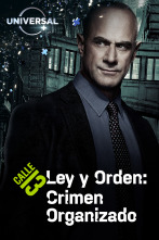 Ley y Orden:... (T4): Ep.5 