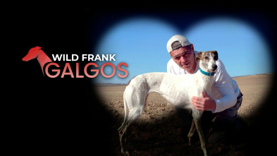 Wild Frank: Galgos