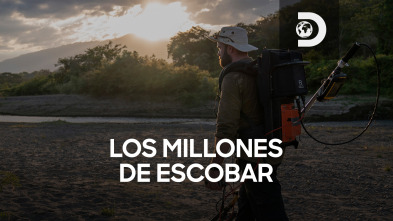 Los millones de Escobar 