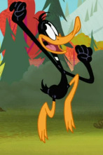 New Looney Tunes,... (T2): Sir Perilla y el Fénix / Luau chiflado