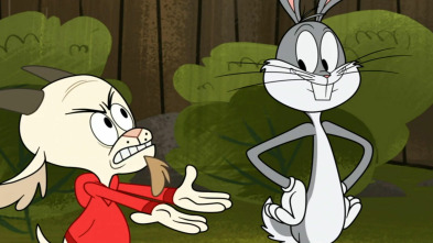 New Looney Tunes,... (T3): El asteroide. Parte 1 / El asteroide. Parte 2