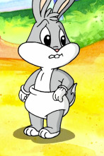 Baby Looney... (T1): El conejo bruce