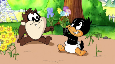 Baby Looney... (T1): Flores al poder