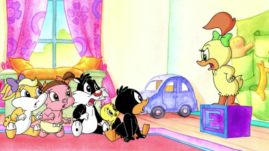 Baby Looney... (T1): Looney - gate