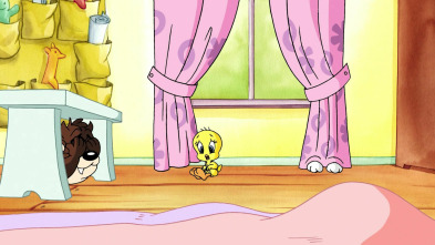 Baby Looney... (T1): El pequeño Piolín