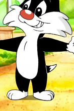 Baby Looney... (T1): Un gato superguay