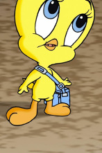 Baby Looney... (T2): Encontrando pistas como las de Piolín