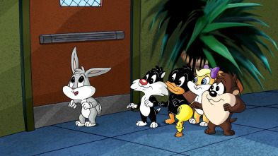 Baby Looney... (T2): Luz, camara, Piolín