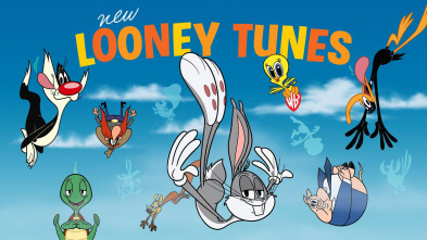 New Looney Tunes, Season 3 (T3)