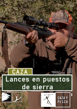 Lances en puestos de sierra