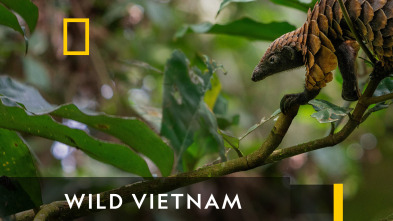 Wild Vietnam 