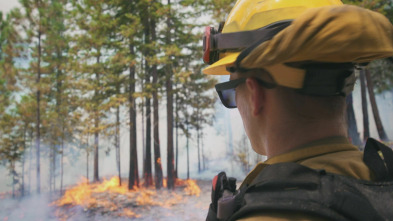 Bomberos de...: Napa arde