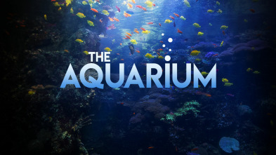 The Aquarium, Season 1 (T1)