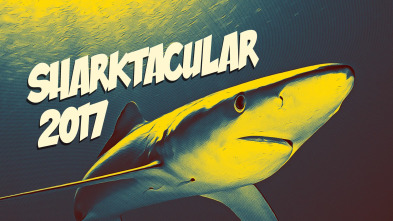 Sharktacular 2