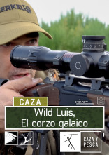 Wild Luis:  El Corzo Galaico