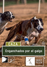 Enganchados por el galgo