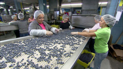 Así se hace,... (T21): Moldes para pasta