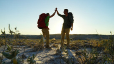 Rock the Park: Bosque Nacional de White Mountain