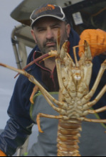 Cazadores de... (T3): La caza del oro rojo