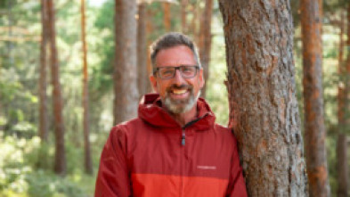 El bosque encantado: Sierra de Javalambre (Teruel)