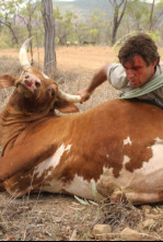 Un vaquero australiano: Acampando con cocodrilos