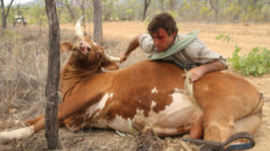 Un vaquero australiano: Territorio de caza, Parte 2