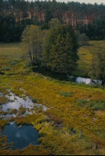 Turisme rural al món: Polonia