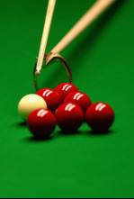 Abierto de Wuhan de snooker