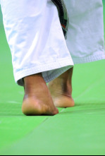 IJF Grand Slam series